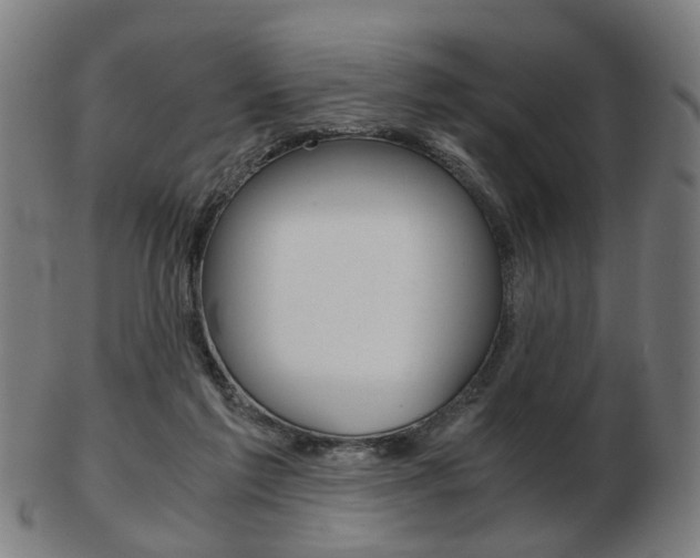X0000103480213200809120935