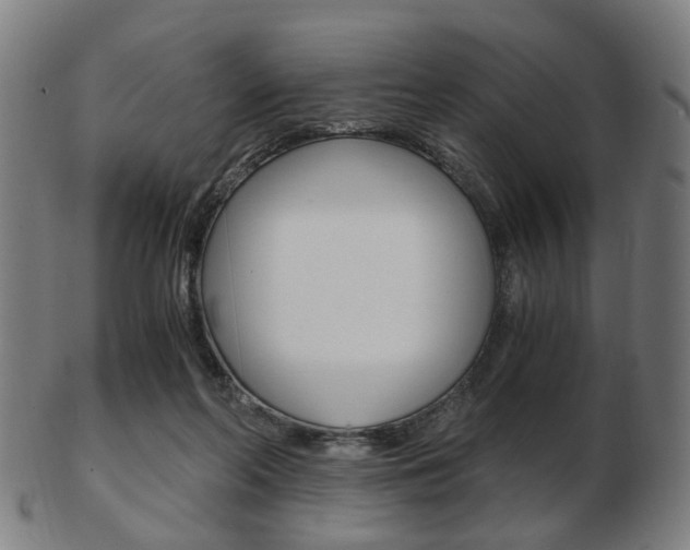 X0000103480214200809120935