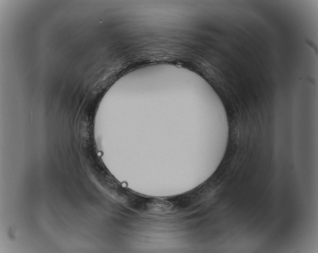 X0000103480215200809120935