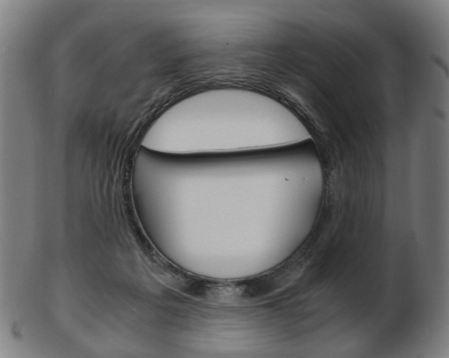 X0000103480217200809120935