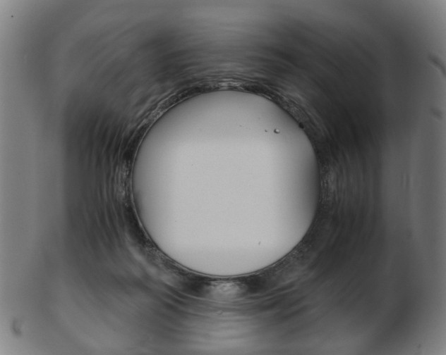 X0000103480218200809120935
