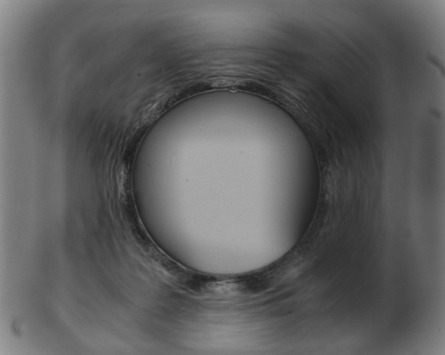 X0000103480219200809120935