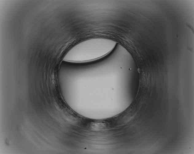 X0000103480220200809120935