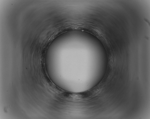 X0000103480221200809120935