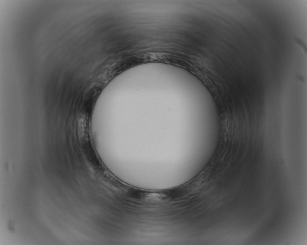 X0000103480222200809120935