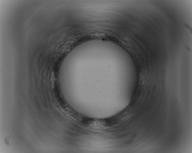 X0000103480223200809120935