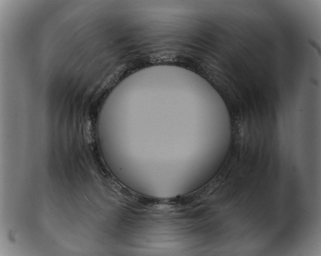 X0000103480224200809120935