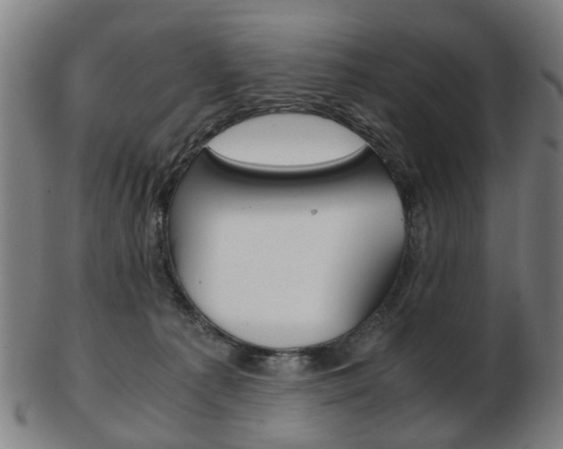 X0000103480225200809120935