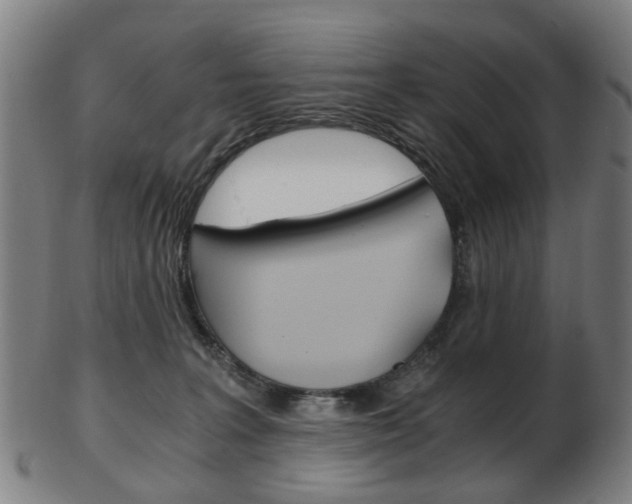 X0000103480227200809120935