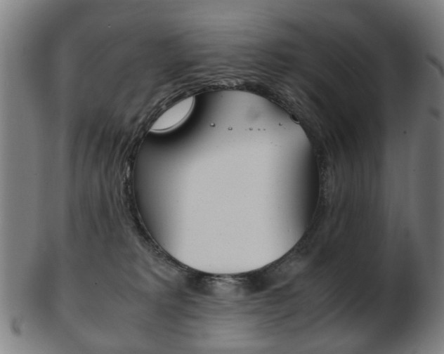 X0000103480229200809120935