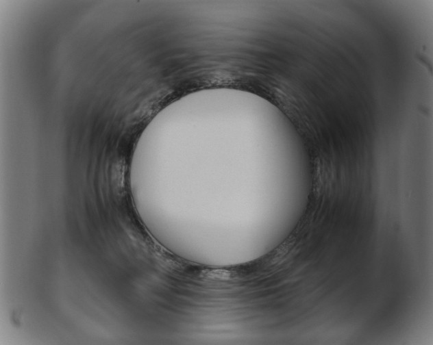 X0000103480230200809120935