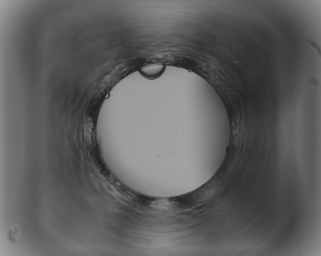 X0000103480231200809120935
