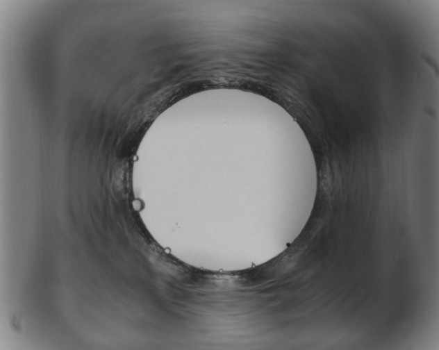 X0000103480233200809120935