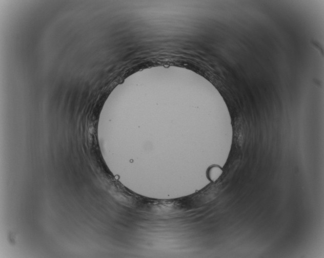 X0000103480235200809120935