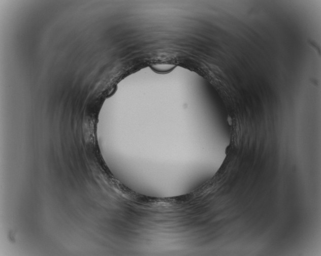 X0000103480236200809120935