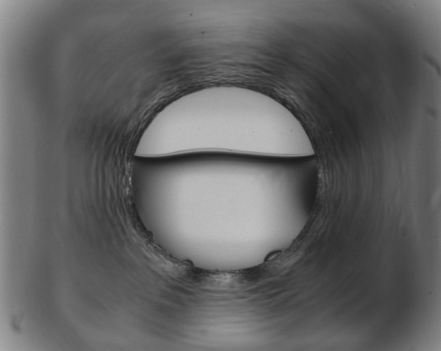 X0000103480237200809120935