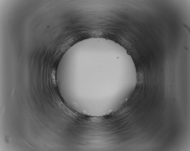 X0000103480238200809120935