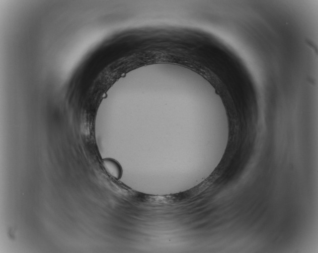 X0000103480239200809120935