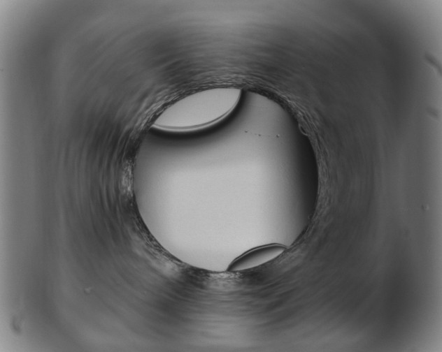 X0000103480240200809120935