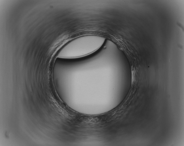X0000103480243200809120934