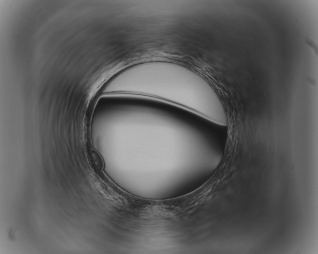 X0000103480244200809120934