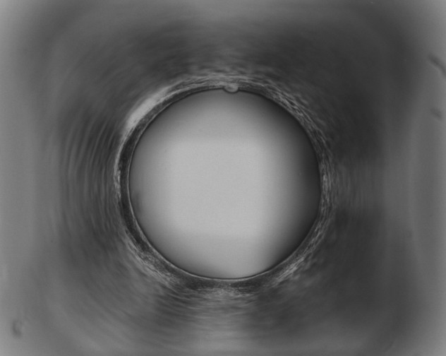 X0000103480246200809120934