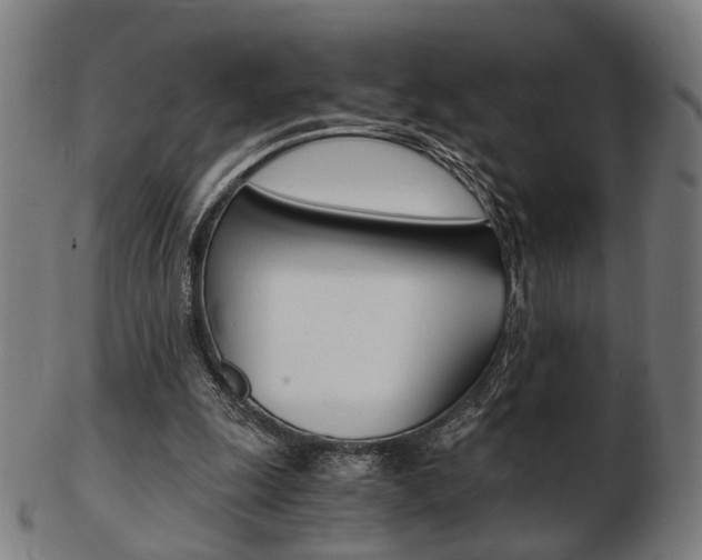 X0000103480247200809120934