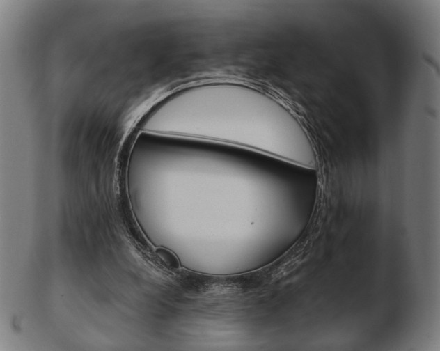 X0000103480248200809120934