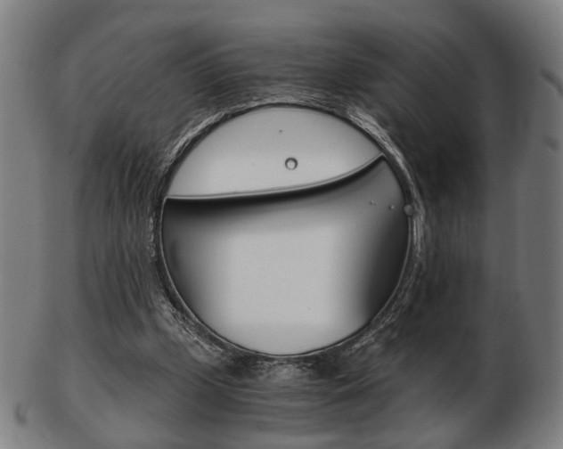 X0000103480249200809120934