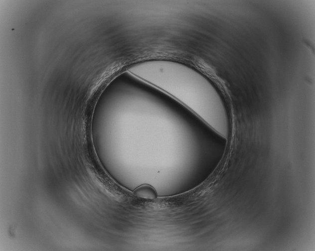 X0000103480250200809120934