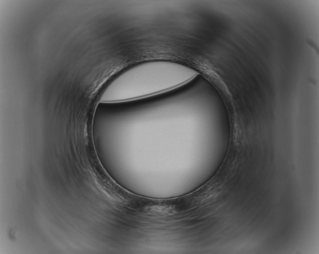 X0000103480251200809120934