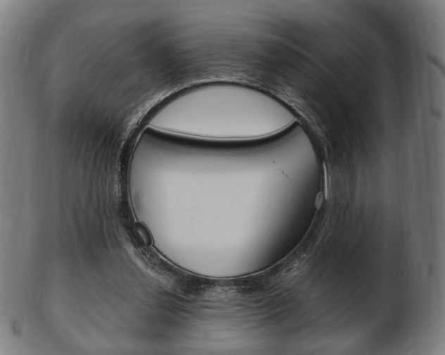 X0000103480252200809120934
