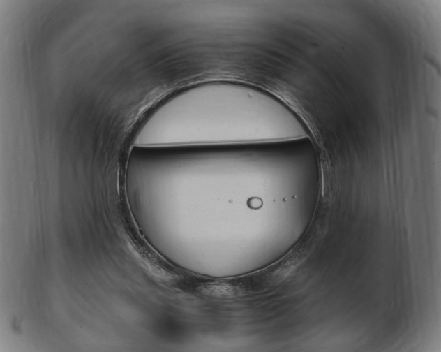 X0000103480253200809120934