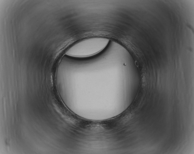X0000103480254200809120934