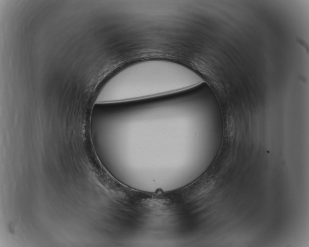 X0000103480255200809120934