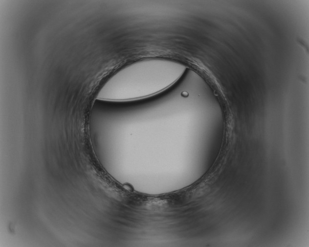 X0000103480257200809120934