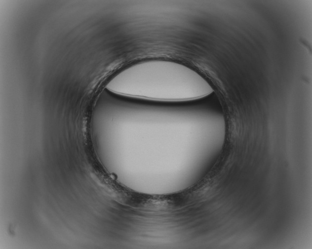 X0000103480260200809120934