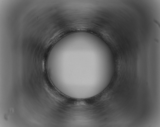 X0000103480262200809120934