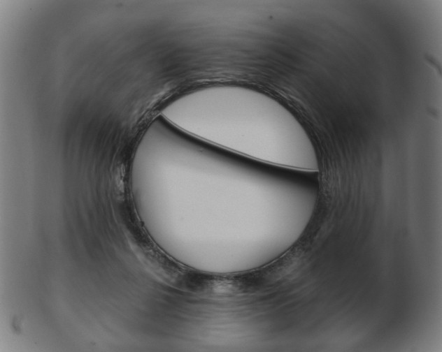 X0000103480264200809120934