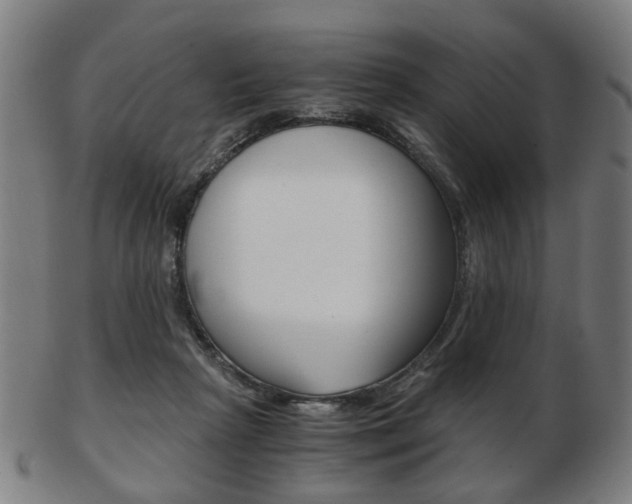 X0000103480265200809120934