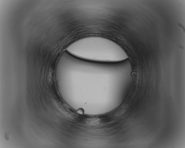 X0000103480266200809120934
