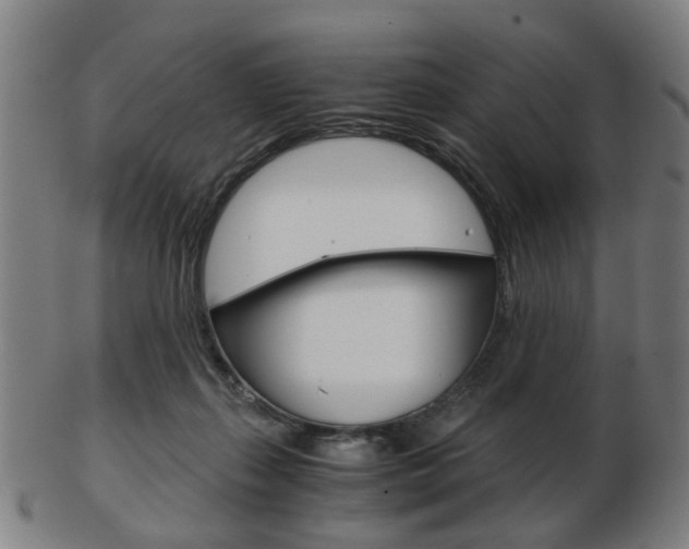 X0000103480267200809120934