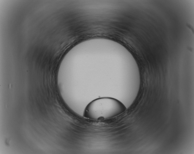 X0000103480268200809120934
