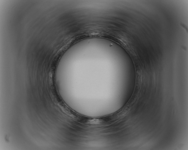 X0000103480269200809120934