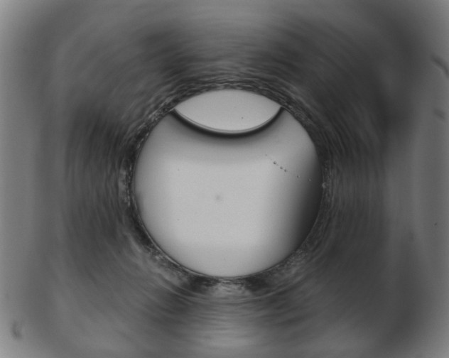 X0000103480270200809120934