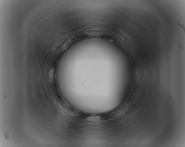 X0000103480271200809120934