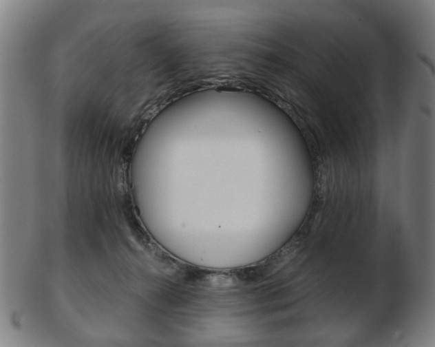 X0000103480272200809120935