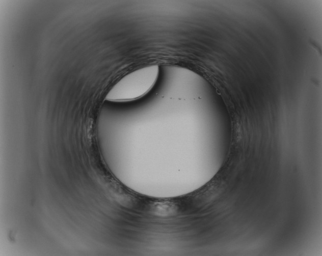 X0000103480275200809120935