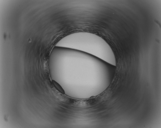 X0000103480276200809120935