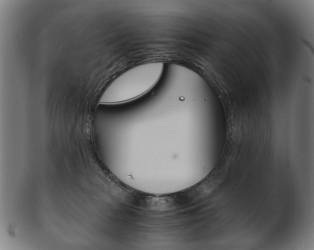 X0000103480277200809120935